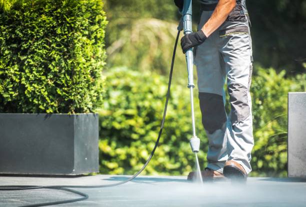 Best Roof Washing  in Lamont, CA